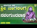 navalagundavasa ನವಲಗುಂದವಾಸ navalagunda vasa sri nagalinga vishnu bhakti geete jhankar music