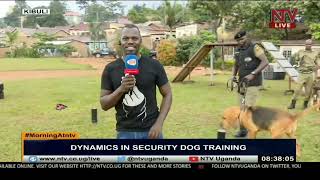 Security dog training in Uganda | MORNING AT NTV