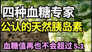 这四种食物，被血糖专家称为“天然胰岛素”、糖尿病的克星，每天换着吃，血糖值再也不会超过5.1！【本草养生大智慧】