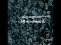 જીવન એ હલ કરવાના સમસ્યા નથી ન્યૂ suvichar whatsappstatus viral ટ્રેન્ડિંગ motivation gujarati