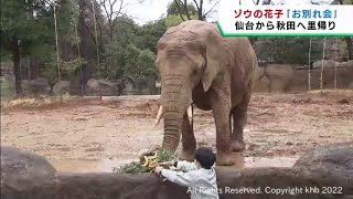 アフリカゾウの花子　仙台市八木山動物公園から秋田市の動物園に帰ることに