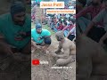 jassa patti 💫 mankaran doomchedi 💫 trendingshorts💫 viralvideo💫 shortsvideo💫 🇮🇳chenab live tv 🇮🇳