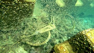 【衝撃】捨てられたはずの自転車が、大量の魚のマンションと化し…【海底ごみ拾い 前編】