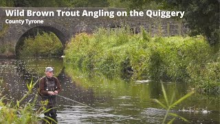 Wild Brown Trout Fishing on the Quiggery River, Co Tyrone