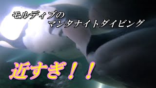 【モルディブ】ナイトダイビングでマンタの狂喜乱舞！【manta rays】