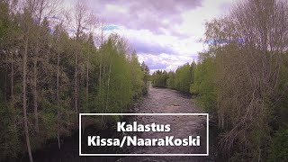 Kalastus Kissa/NaaraKoski