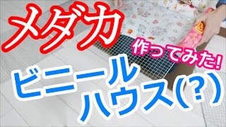 【冬支度！】 めだか☆ビニールハウス作ってみた！ /メダカ【アクアリウム・熱帯魚・水槽】