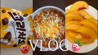 [vlog]9월2번째 브이로그✨ 땅땅치킨🍗, 복숭아🍑, 두끼떡볶이, 16주🤰