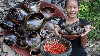 Catch & Cook Snails for Food - Cooking boiled Snails on Clay and Eating delicious ep 26