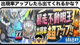 妖怪ウォッチぷにぷに・１０連ガチャ・ZZランク出現率アップ・暴走不動明王出るか？「ドイヒーさんのダラダラゲーム実況」