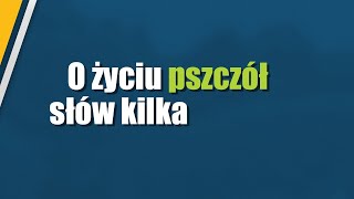 #PomagamyPszczołomBezLipy - lekcja o owadach zapylających dla uczniów klas IV-VI szkoły podstawowej