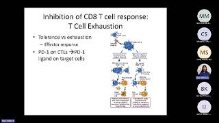 Abbas Ch 11 Differentiation and Function of CD8+ Effector T cells (Raje)