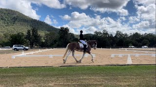 Gracie Samford Dressage Prelim 1.2