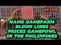 IGF 2024 the Hobby Expo of Gamefowl Pasay Philippines