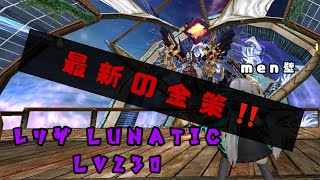 トーラム【レリザ Lunatic Lv230】men壁攻略 toram