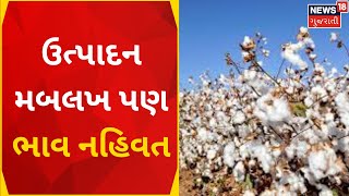 Surendranagar News | ઉત્પાદન મબલખ પણ ભાવ નહિવત | Cotton | Agriculture Product | News In Gujarati