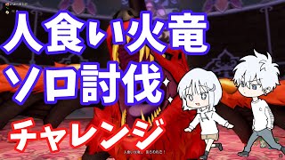 【ドラクエ10】人食い火竜ソロ討伐にチャレンジ