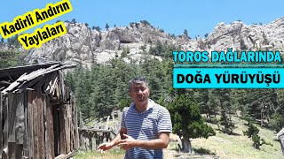 Toros Dağlarında Doğa Yürüyüşü. Kadirli-Andırın Yaylaları. Çocukluğumun Geçtiği Kırlar...