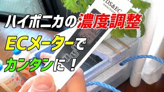 【ハイポニカ】水耕栽培の液肥濃度を簡単に調整する方法