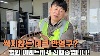 썩지 않는 나무가 있다구요?