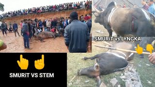 SMURiT vs STEM and SMURiT vs LYNGKA,, 2 Sin jia ia u SMURiT kmne. iadaw masi today iatur masi today