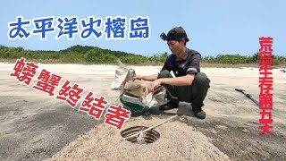 【太平洋火榕島荒島求生5】抓魚地籠被海浪沖泡！今天只能吃貝殼了 抓螃蟹的陷阱竟然有意外驚喜！#vlog#戶外#探險#野外求生#野外生存#荒野探險