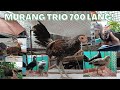 TRIO 700 LANG PART 16