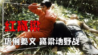 巩俐、姜文高粱地野战，尺度超大！投资仅80万却创下4亿观影，张艺谋凭借这部电影一举成名【电影有深度官方】