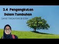 Sains T.3 : 3.4 Pengangkutan Dalam Tumbuhan