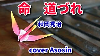 新曲【命　道づれ】秋岡秀治　cover麻生新