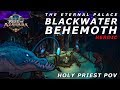 The Eternal Palace - Blackwater Behemoth - Heroic - Holy Priest POV