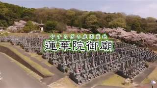 【熊本】　霊園　玉名市　蓮華院御廟（２分動画）