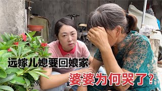 【大力与小贝】远嫁的安徽儿媳要回娘家，山东婆婆为何哭了？问出原因让人意外