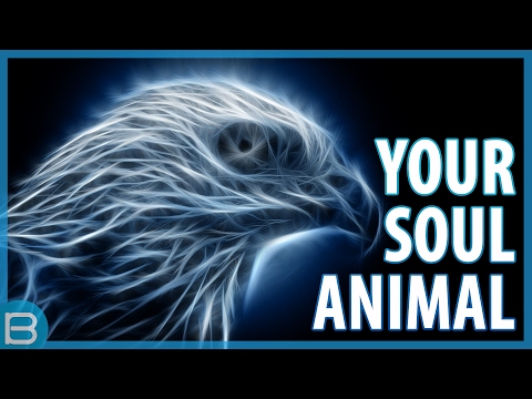 What Is Your Spirit Animal? What Is Your Spirit Animal?