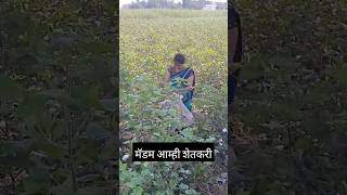 शेतकरी हा आयटीतच राहतोय 🌾 #shetakri #shorts #agriculture #sheti #agri #marathi  #farming #viral #yt