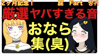 【２ヶ月記念】厳選！おなら集（臭）【第六十発】