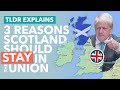 Three Arguments AGAINST Scottish Independence - TLDR News