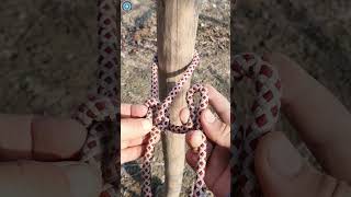 Unusual secret knot#knotwork#tiktokvideo#diy#rope#knot#ideas#like#live#amazing#instagram#howtomake