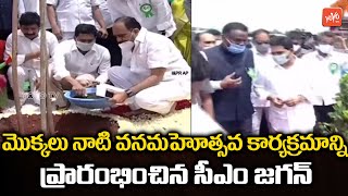 CM YS Jagan Planting Tree at 71st Vanamahotsavam Program | CM Jagan Live | AP News | YOYO TV Channel