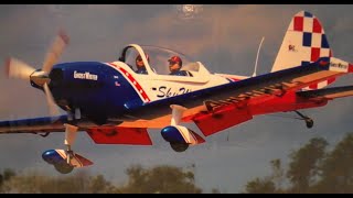 Seagull super chipmunk 81