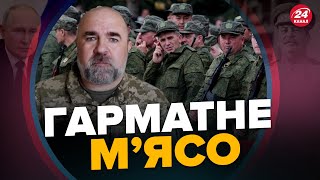 ЧЕРНИК: Ворог діє за СТАЛІНСЬКИМИ лекалами / Російські Іскандери продовжують ТЕРОР на Запоріжжі