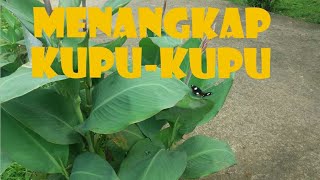 MENCOBA MENANGKAP KUPU-KUPU|BERMAIN DI TAMAN