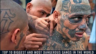 Top 10 Biggest And Most Dangerous Gangs in the World