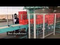 ESHET EILON-Box depalletizer