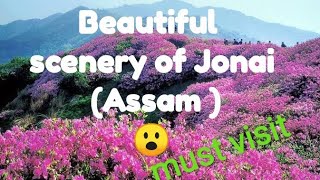 Beautiful landscape of the city Jonai in Assam