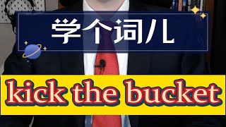 学个词儿 kick the bucket