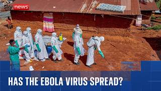 Has the Ebola virus spread beyond Africa?