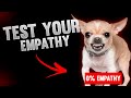 [2021] TEST YOUR EMPATHY - PERSONALITY TEST