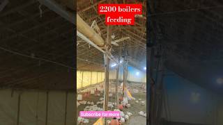 2200 boilers feeding