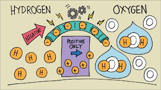 How Does a Hydrogen Fuel Cell Work? │ Simple Explanation